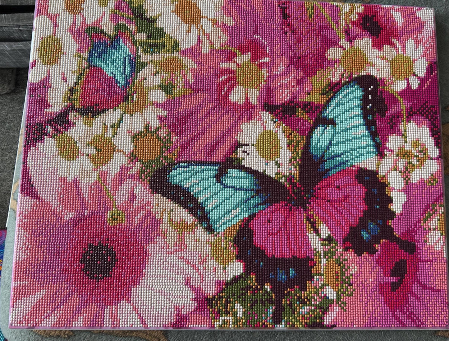 Beautiful diamond butterfly canvas