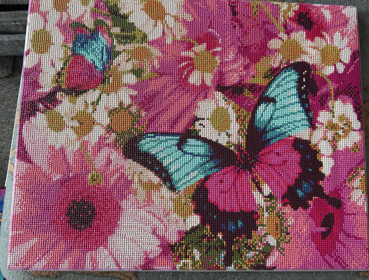 Beautiful diamond butterfly canvas