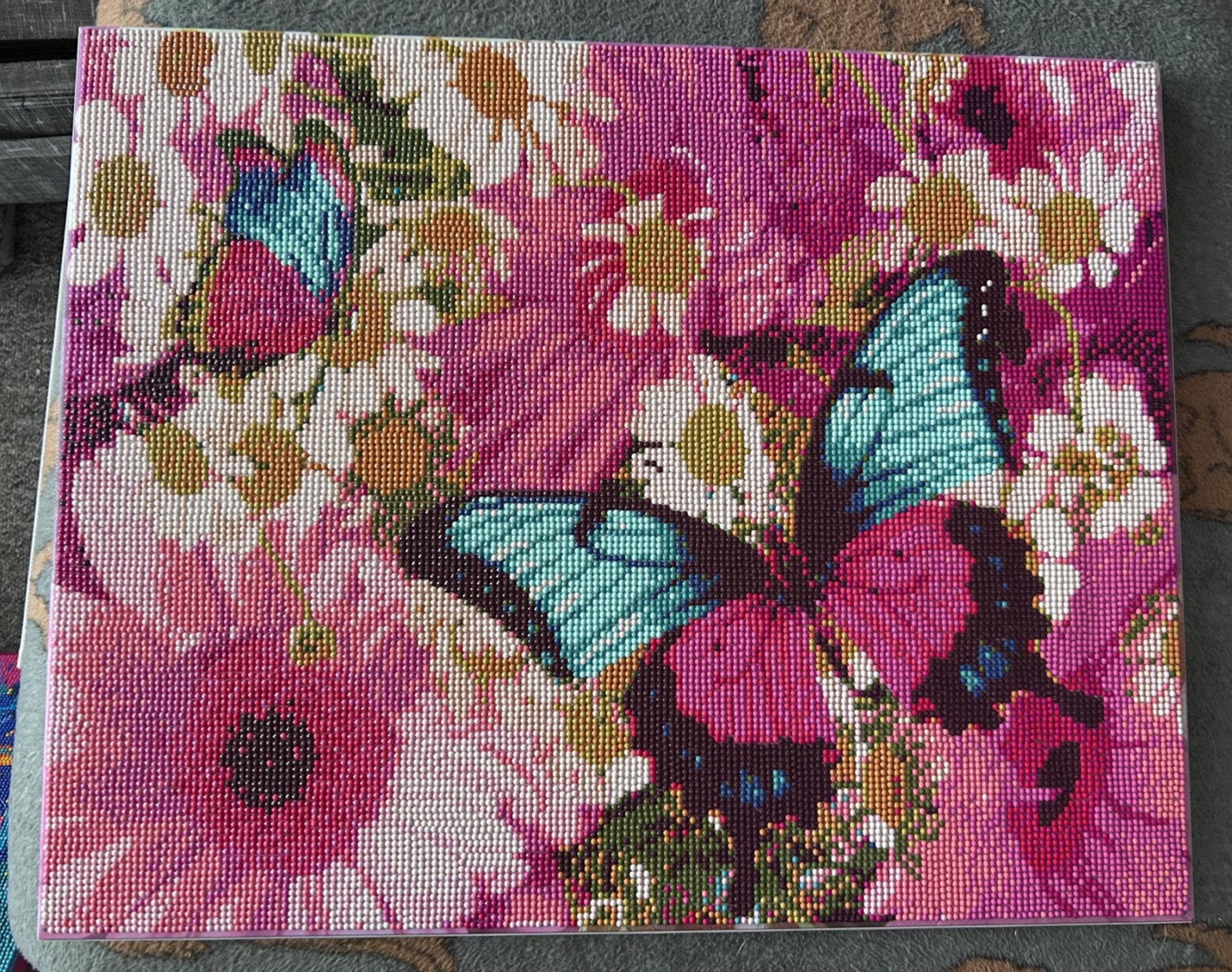 Beautiful diamond butterfly canvas